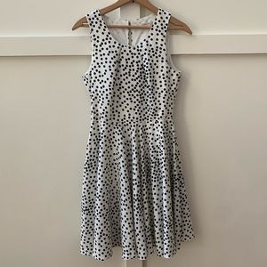 41 hawthorn polka dot fit and flare dress